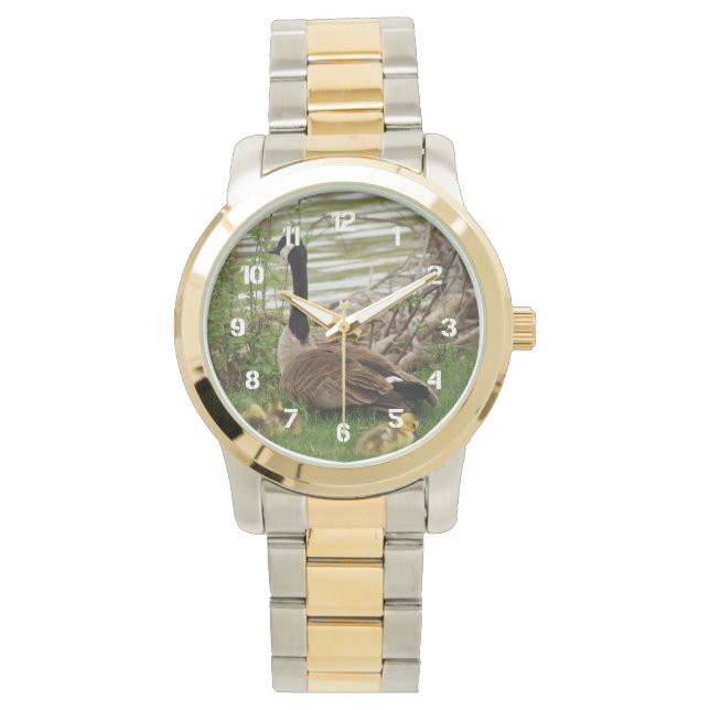 Goose Mom and Babies Watch (Front)