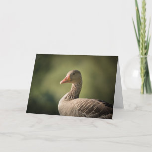 Goose Nature Photo Card