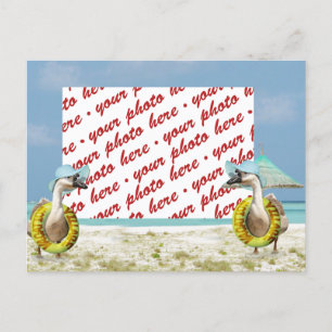 Goose on Vacation Photo Frame Postcard