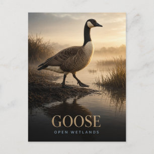 Goose Open Wetlands Wildlife ANIMAL Postcard