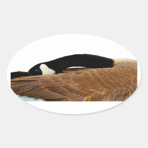 Goose Oval Sticker