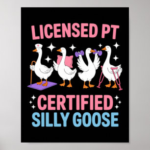 Goose Physical Therapy Squad Pediatric Sped Poster
