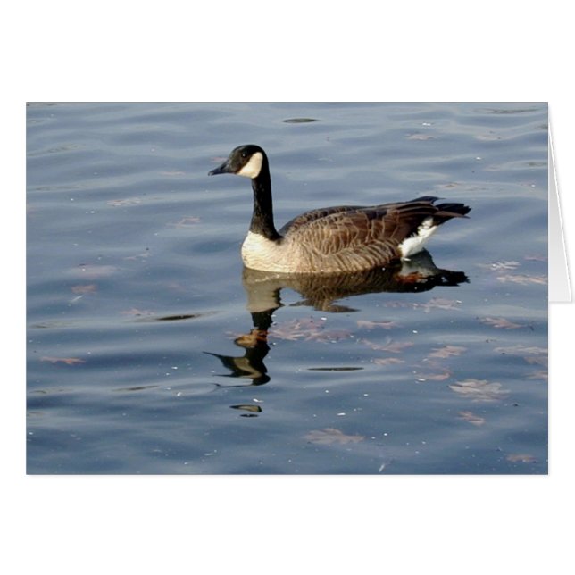 Goose Reflection card (Front Horizontal)