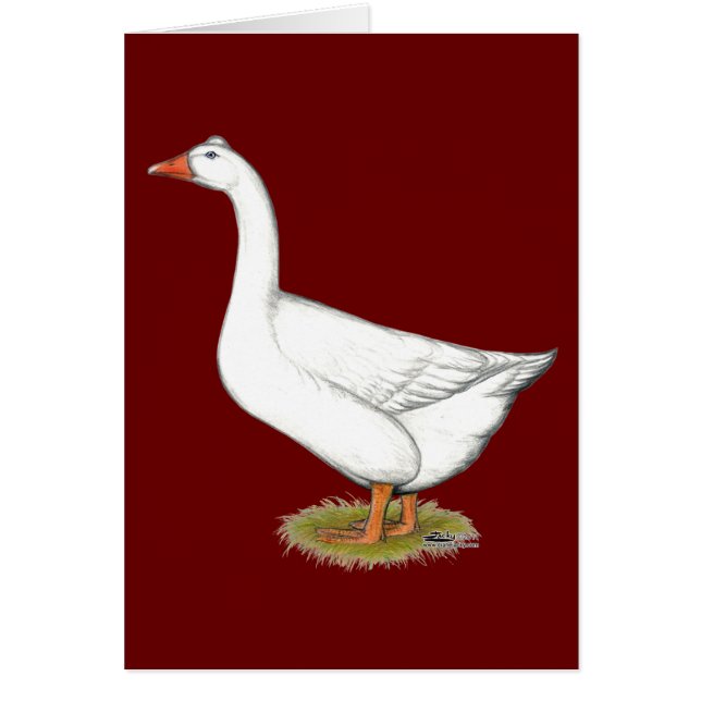 Goose Roman Tufted (Front)