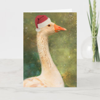 Goose Season's Greetings  Holiday Card