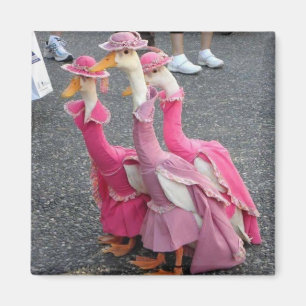 Goose sisters Magnet