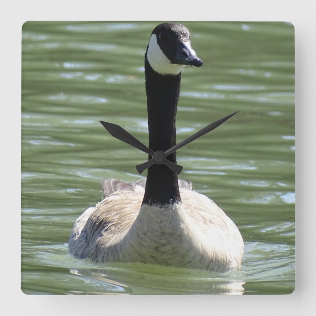 Goose Square Wall Clock (Front)