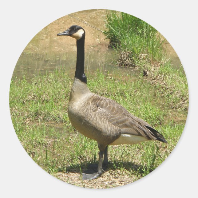 Goose Stickers (Front)