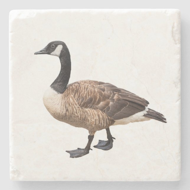 Goose Stone Coaster (Front)