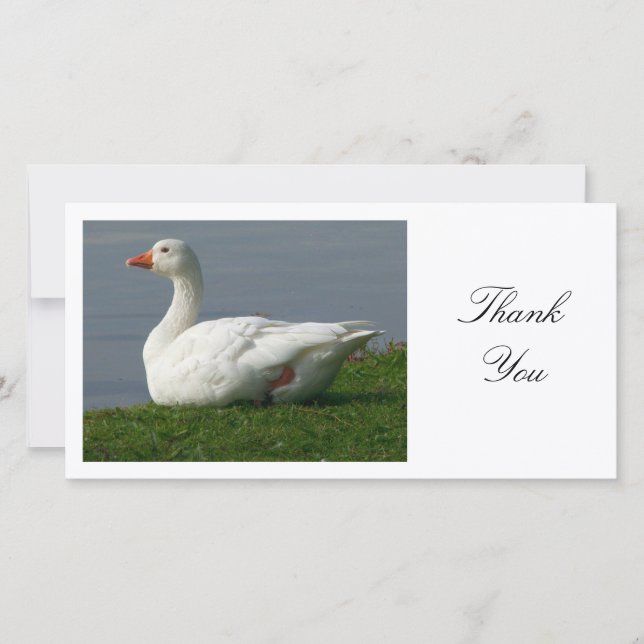 Goose - Thank You (Front)