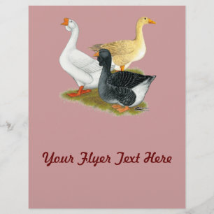 Goose Trio Flyer