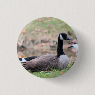 Goose      trucker hat 1 inch round button