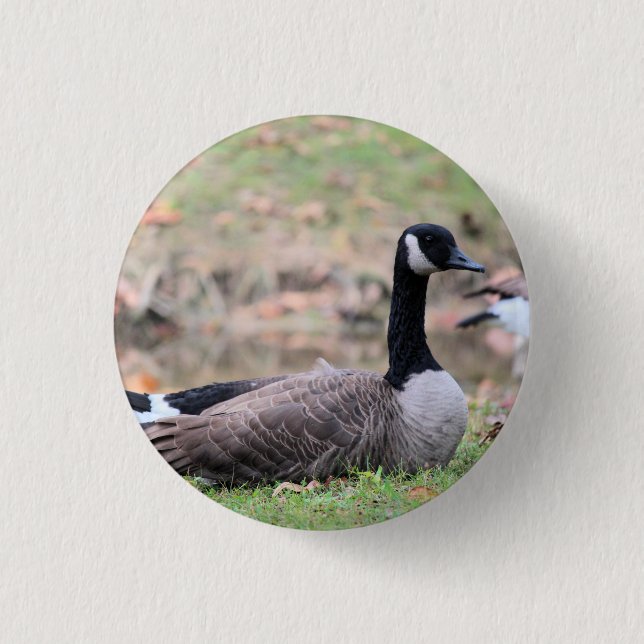 Goose      trucker hat 1 inch round button (Front)