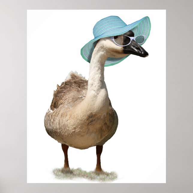 Goose with a Floppy Blue Summer Hat Poster (Front)