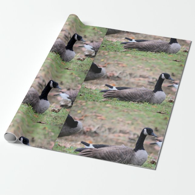 Goose Wrapping Paper (Unrolled)