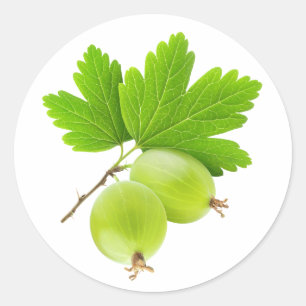 Gooseberries Classic Round Sticker