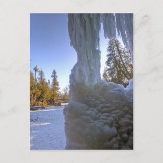 Gooseberry Frozen Frame Postcard