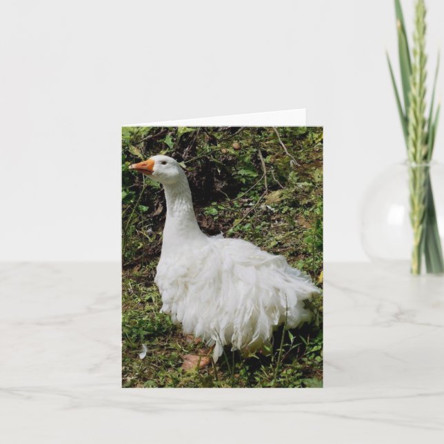 Goosey Greeting Card (Front)