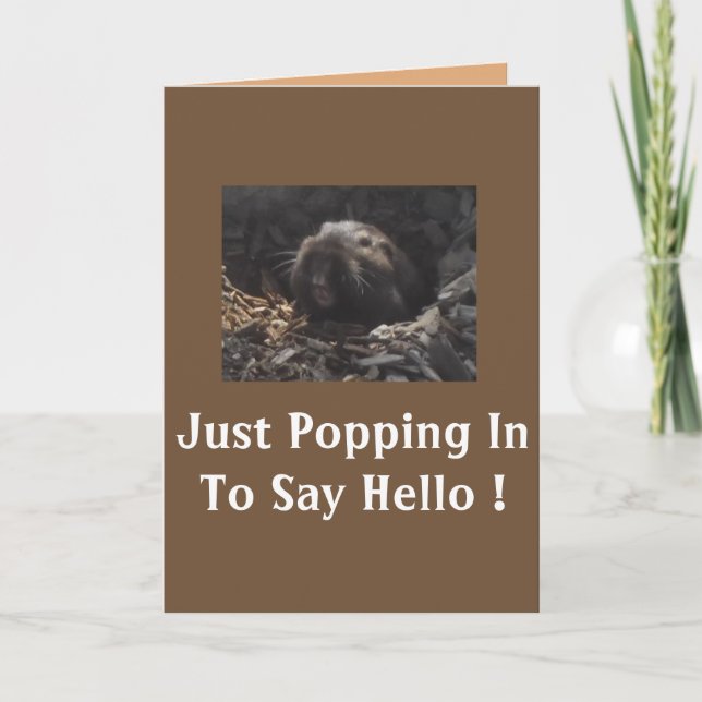 Gopher Greeting (Card) Card (Front)
