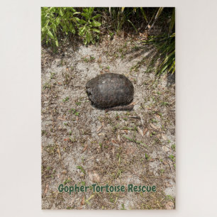 Gopher Tortoise Rescue - Quiet Ember Puzzles 