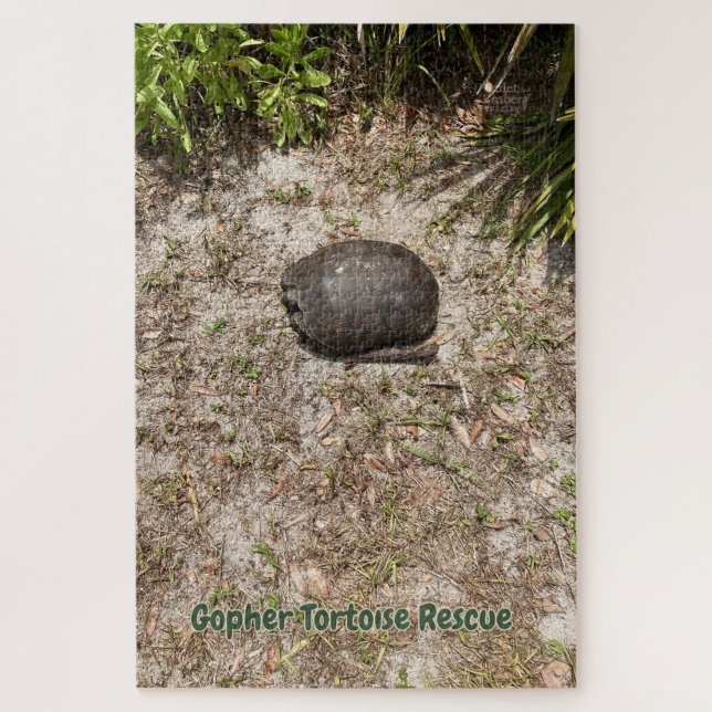 Gopher Tortoise Rescue - Quiet Ember Puzzles  (Vertical)