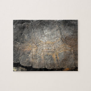 Gopher Tortoise Shell Jigsaw Puzzle