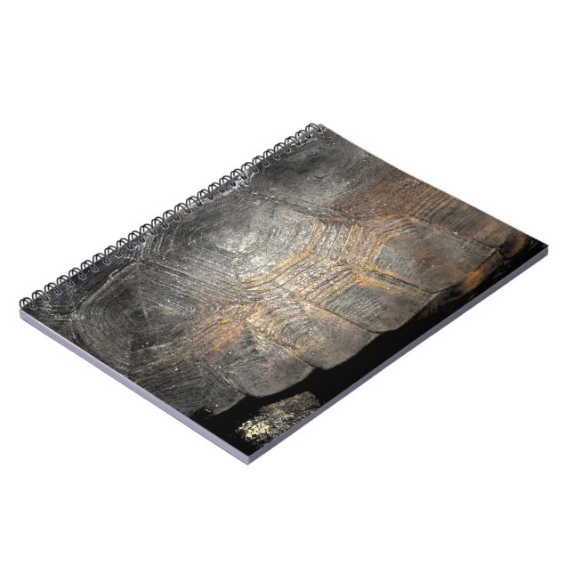 Gopher Tortoise Shell Notebook (Left Side)