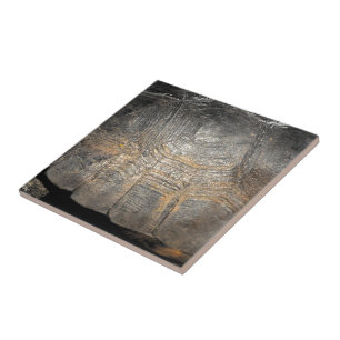Gopher Tortoise Shell Tile