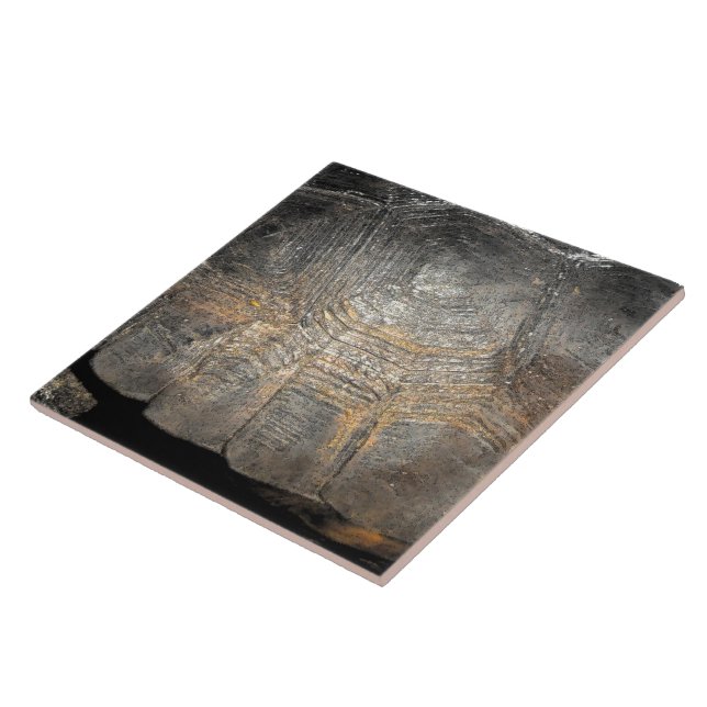 Gopher Tortoise Shell Tile (Side)