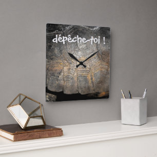 Gopher Tortoise Shell Wall Clock