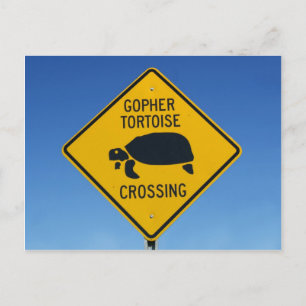 gophercrossing postcard