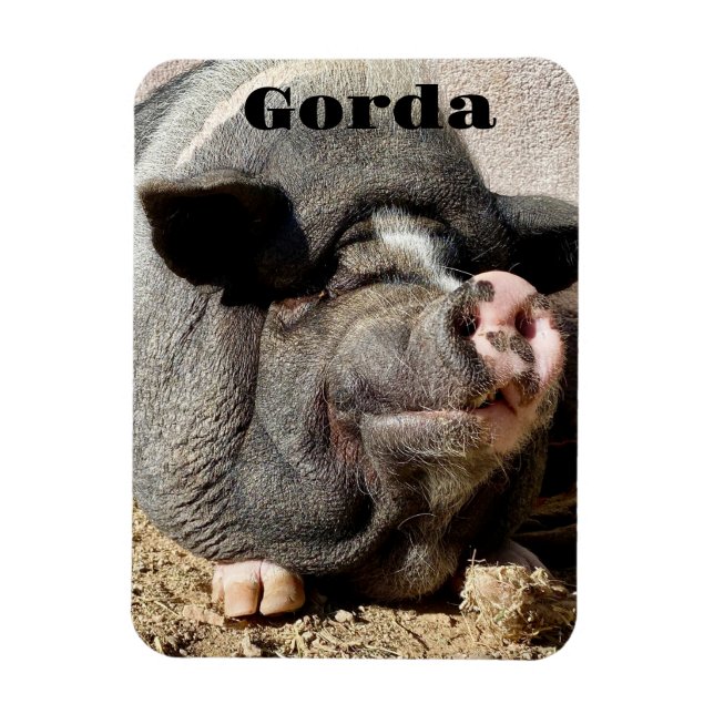 Gorda Magnet (Vertical)