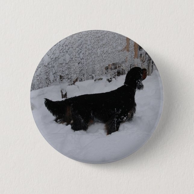 Gordon Setter Button (Front)