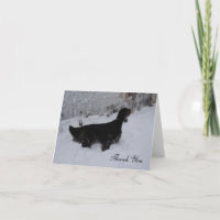 Gordon Setter dans une tempête de neige Merci Note