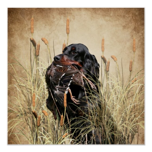 Gordon Setter , Duck hunting Tapestry Poster (Front)