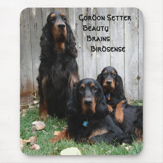 Gordon Setter Generations Mousepad (Front)