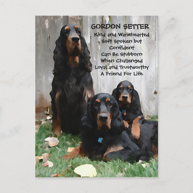 Gordon Setter Generations Painting Postcard (Front)
