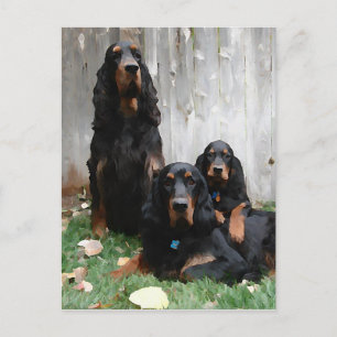 Gordon Setter Generations Peinture Carte postale
