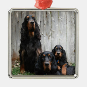 Gordon Setter Generations Photo Ornament