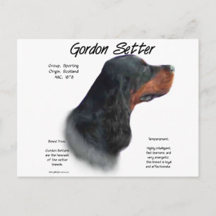 Gordon Setter History Design Postcard