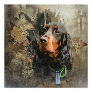 Gordon Setter Photo Print