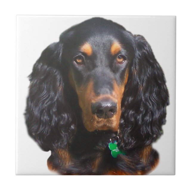 Gordon Setter Portrait Tile (Front)