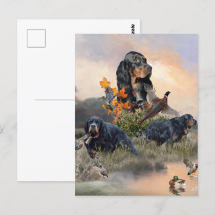 Gordon Setter  Postcard