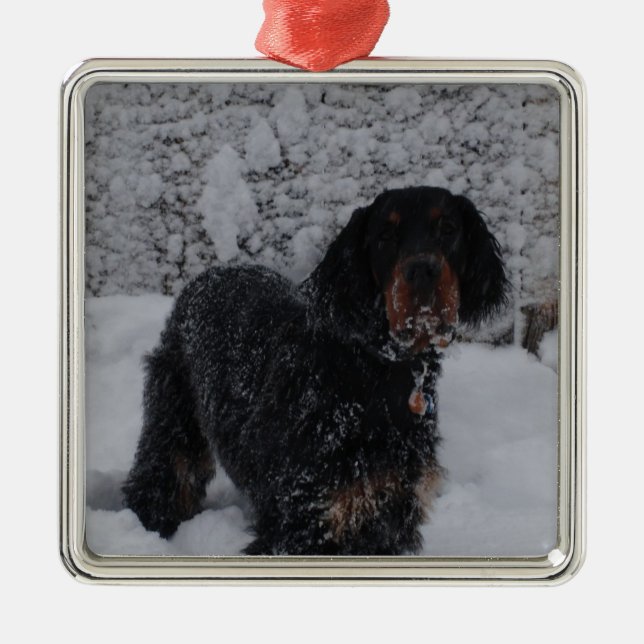 Gordon Setter Puppy In A Snowstorm Ornament (Front)