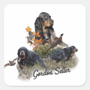 Gordon Setter  Square Sticker