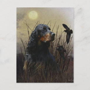 Gordon setter with pheasants, Art    Holiday Postcard