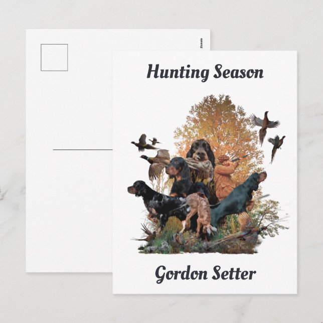 Gordon setters , Art    Holiday Postcard (Front/Back)