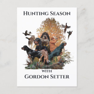 Gordon setters , Art Postcard