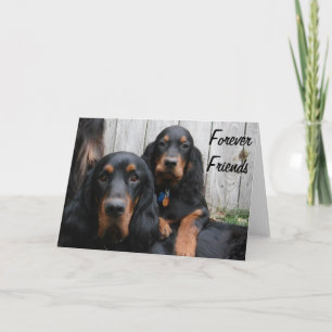 Gordon Setters Forever Friends Note Card