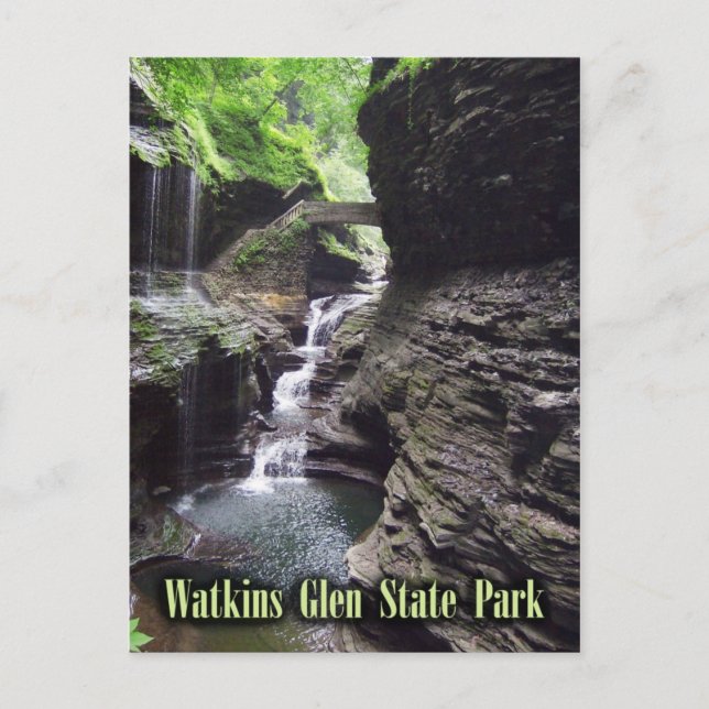 Gorge at Watkins Glen State Park, New York. Postcard (Front)